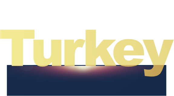 study-in-turkey